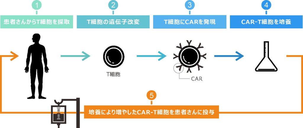 CAR-T療法の主な流れ