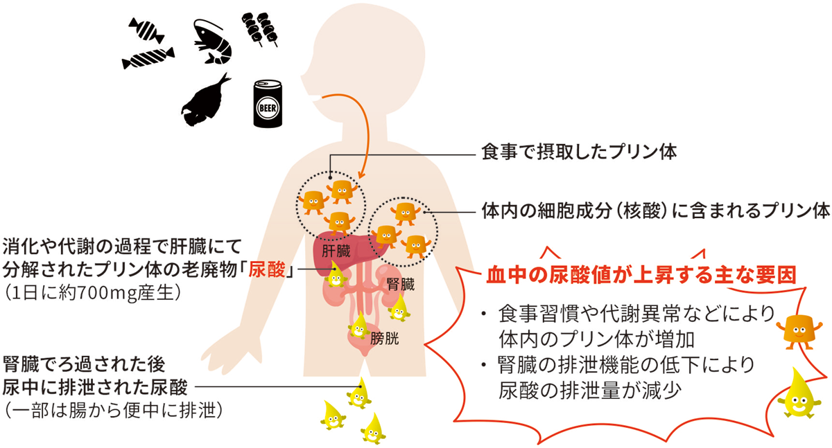 vol021_uric_acid_figure.png